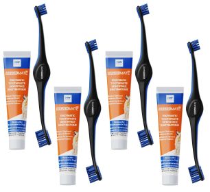 4 Tooth Brushing Kits